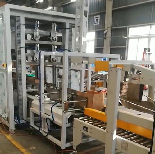 ZYL-ZX05自動食用油裝箱機 高效、可靠的跌落式裝箱自動化解決方案