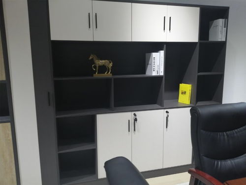 廣西廠家直銷辦公家具文件柜與鐵皮柜，服務北京辦公用品與家用電器市場